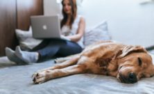 Få råd til de uforudsete udgifter med et online lån