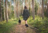 Flexliner til hund: sådan vælger du den rigtige