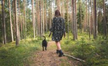 Flexliner til hund: sådan vælger du den rigtige