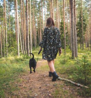 Flexliner til hund: sådan vælger du den rigtige