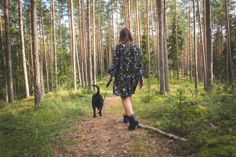 Flexliner til hund: sådan vælger du den rigtige