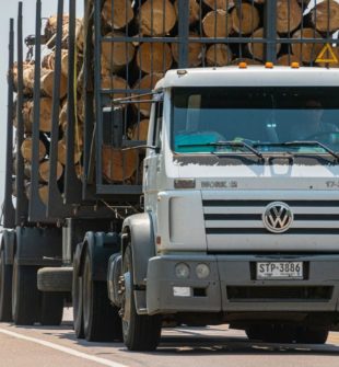 Vognmand på Stevns: professionel transport til private og erhverv
