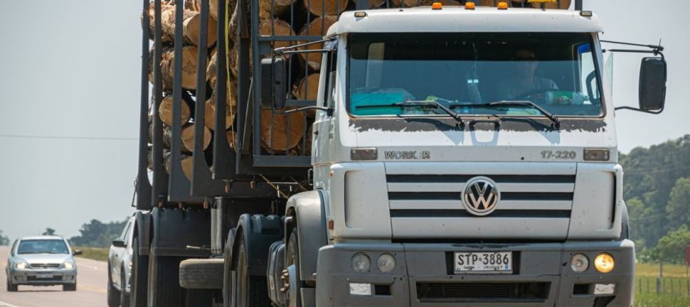 Vognmand på Stevns: professionel transport til private og erhverv